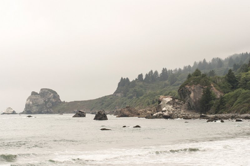 20150823_105924 D4S.jpg - Pacific Coast, Northern CA